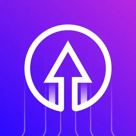 SpeedTop VPN logo picture